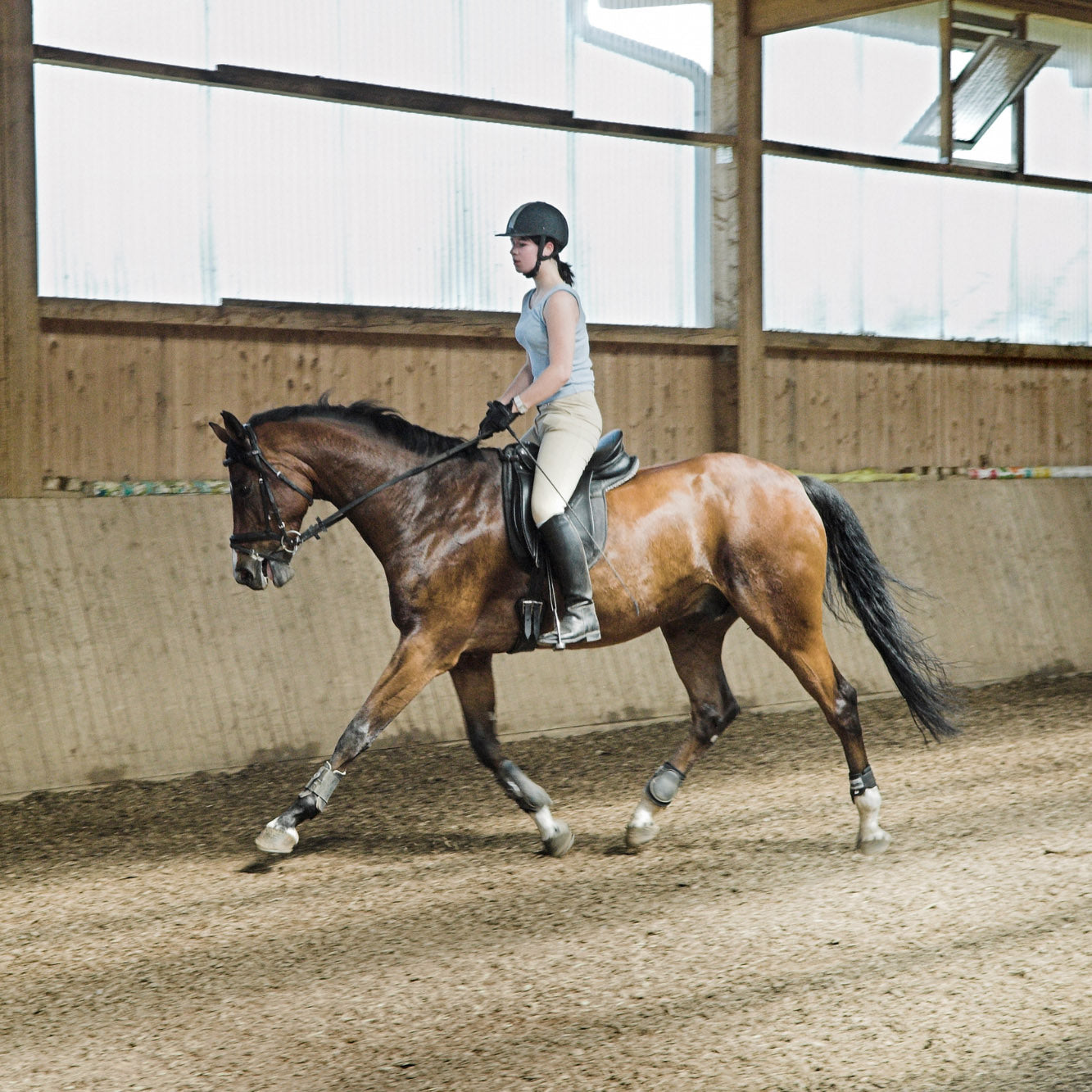 6 Tips for Finding the Perfect Horse Trainer: A Guide for Equestrians