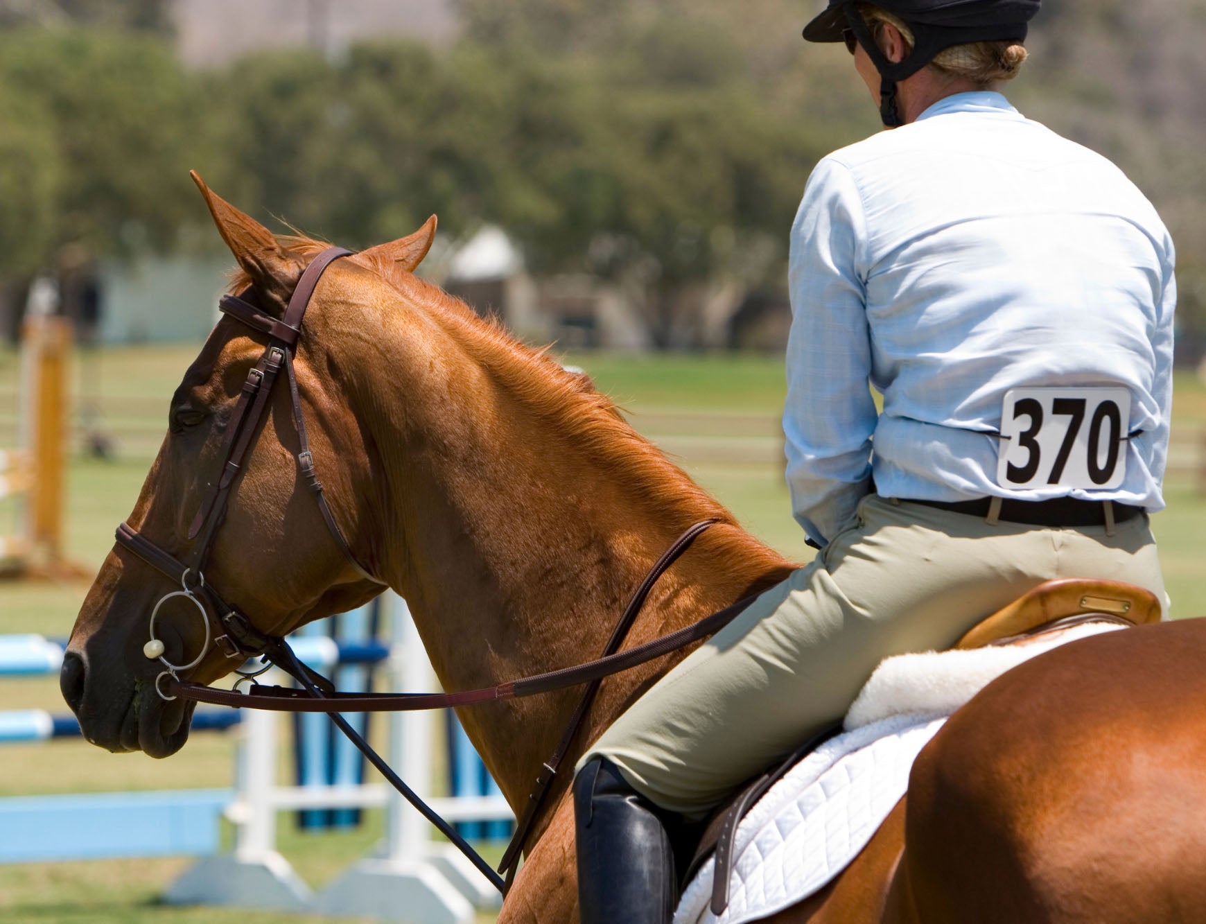 Competing as an Adult Amateur Equestrian (Adult Ammy): Understanding the Requirements