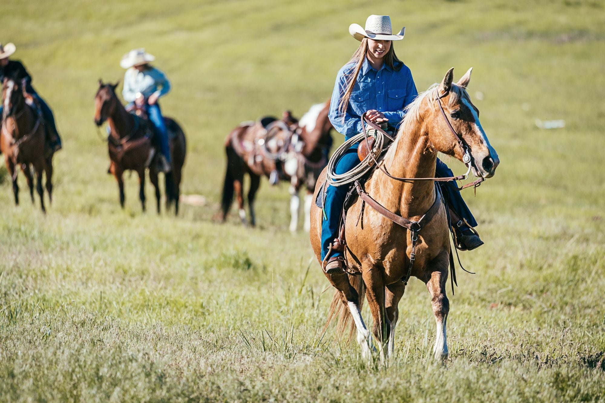 English vs Western Saddles: Understanding the Differences