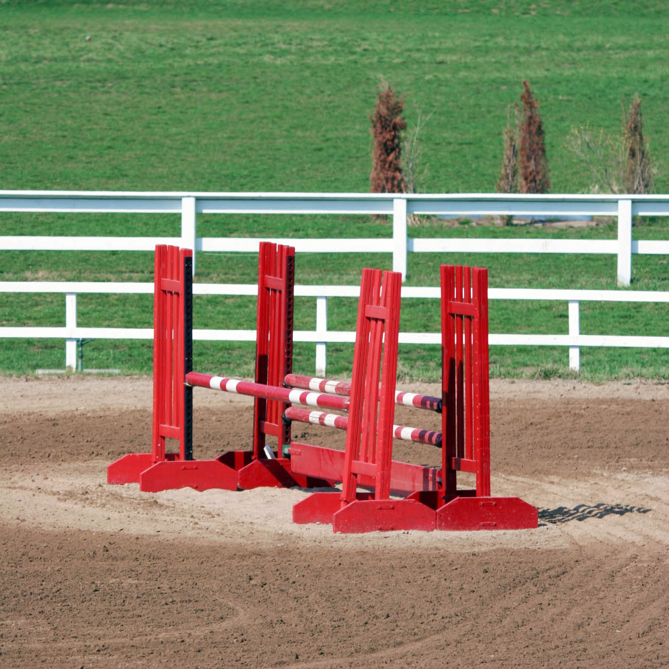 Hunter vs. Jumper Classes: What's the Difference and Which One is Right for You and Your Horse