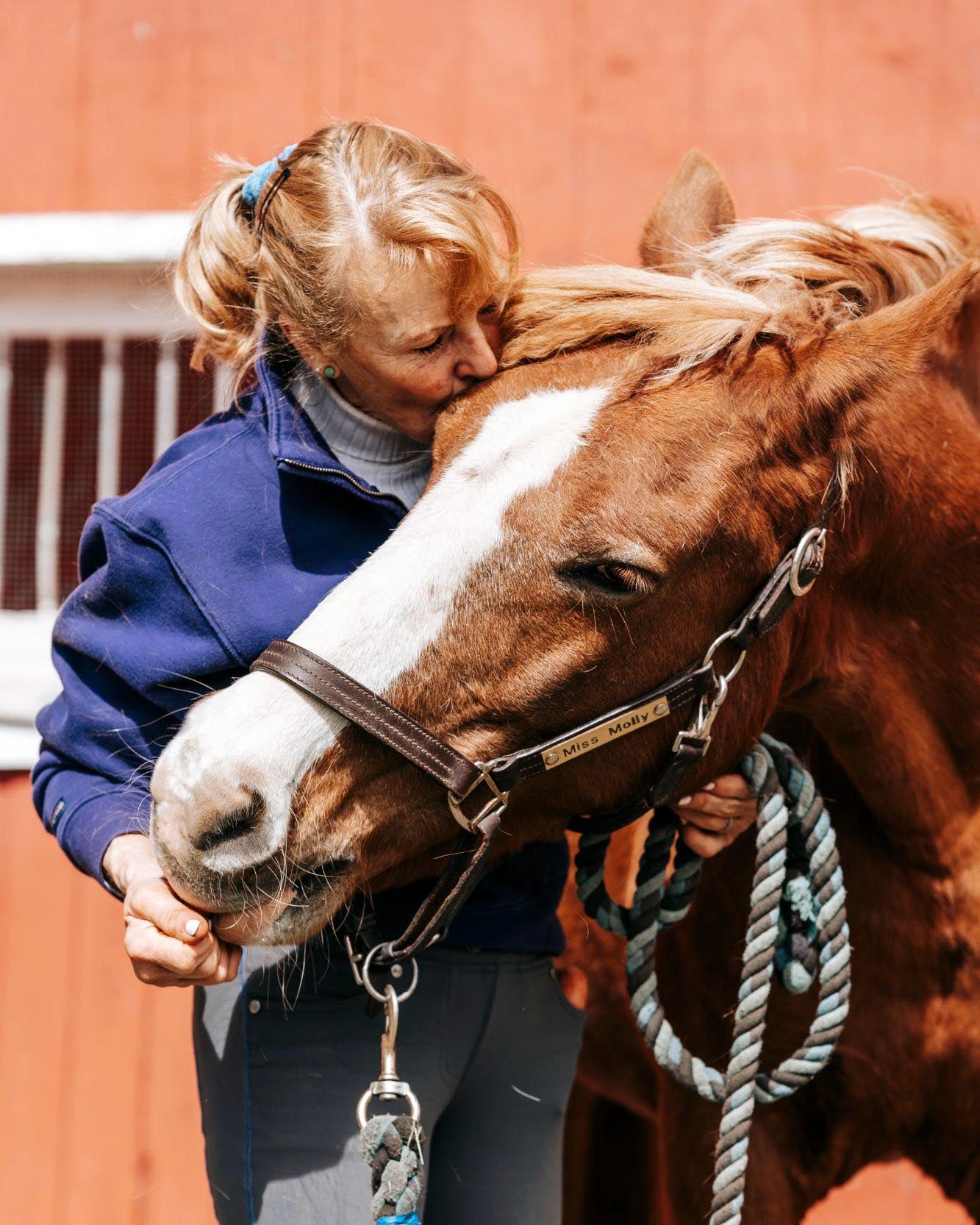 One of the most exciting trends in the equestrian world is the rise of online businesses. 