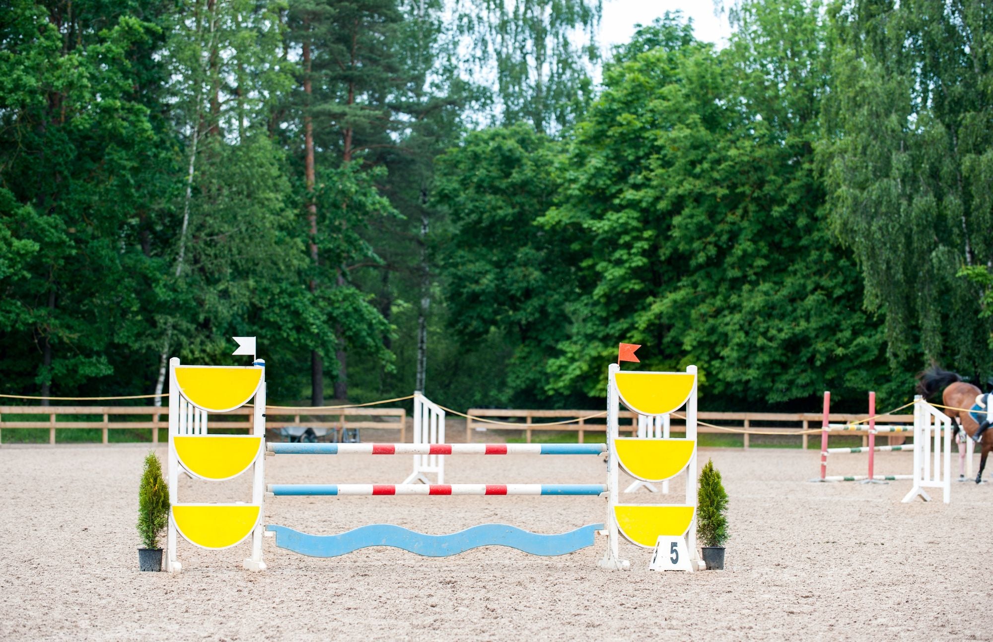 How To Design A Jump Course: A Step-by-Step Guide