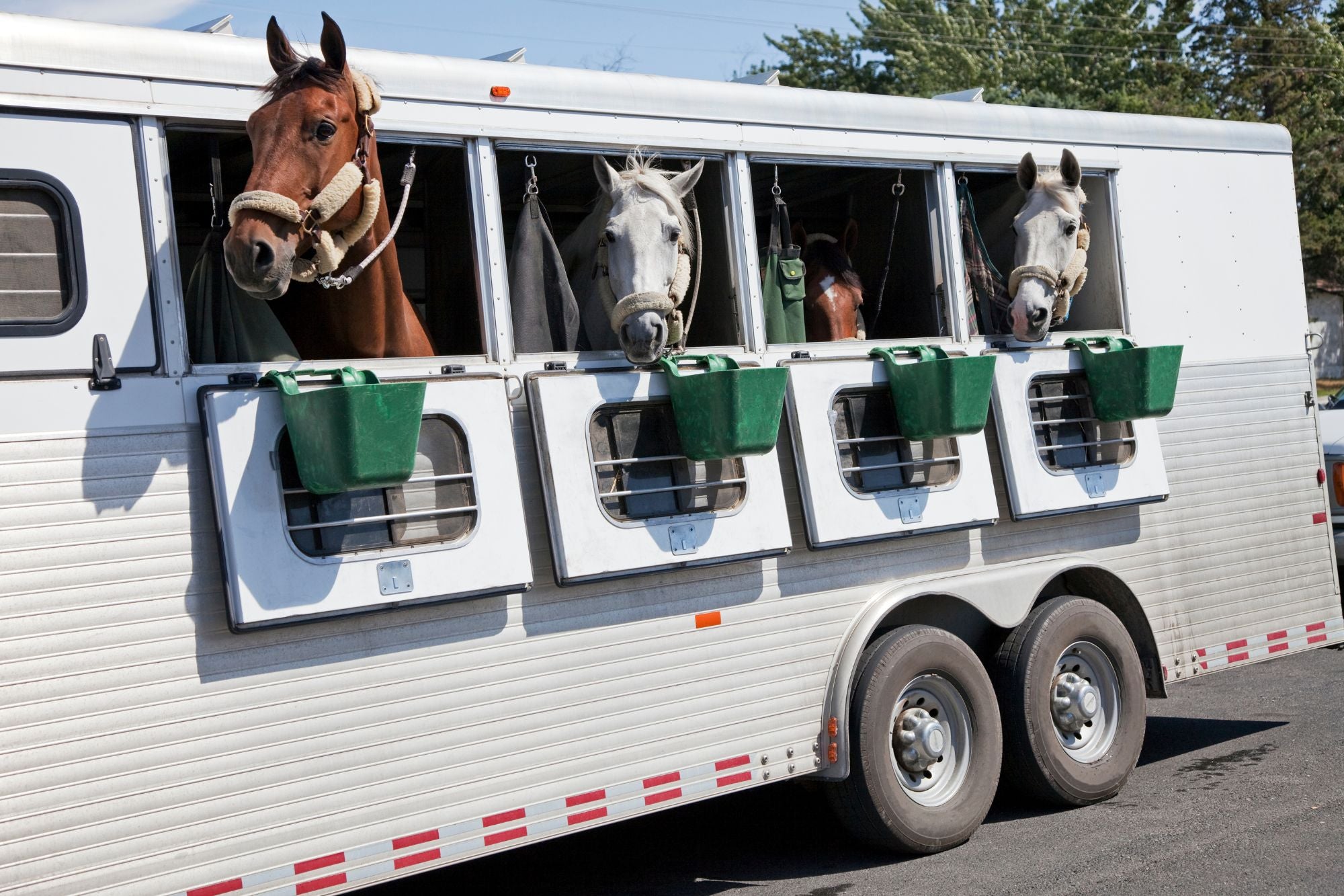 Hit the Road with Confidence: How to Safely Pull and Drive a Horse Trailer