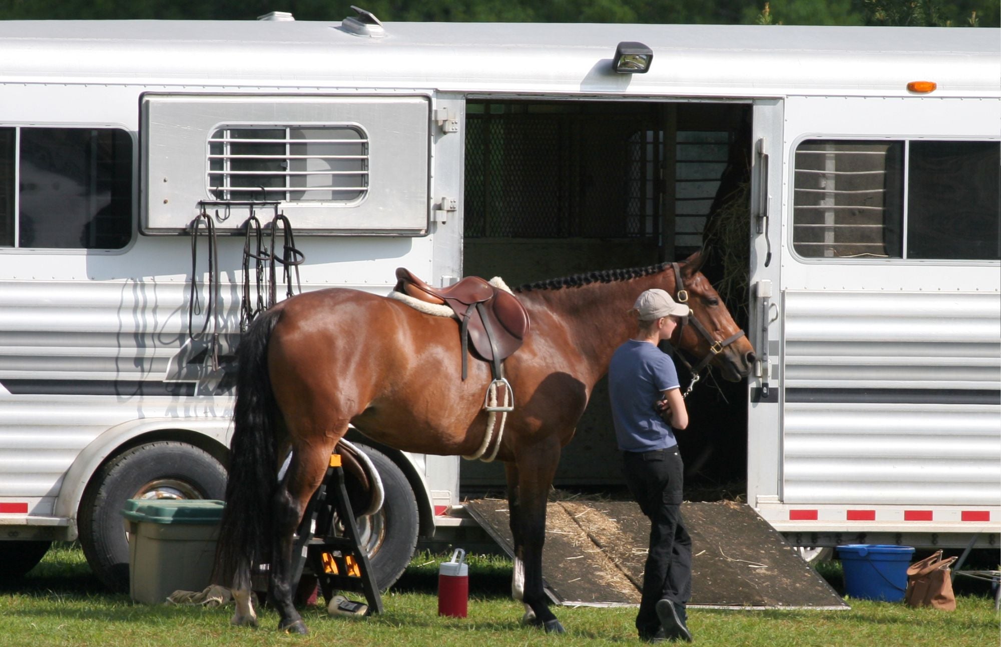 How to Back a Horse Trailer: A Step-by-Step Guide