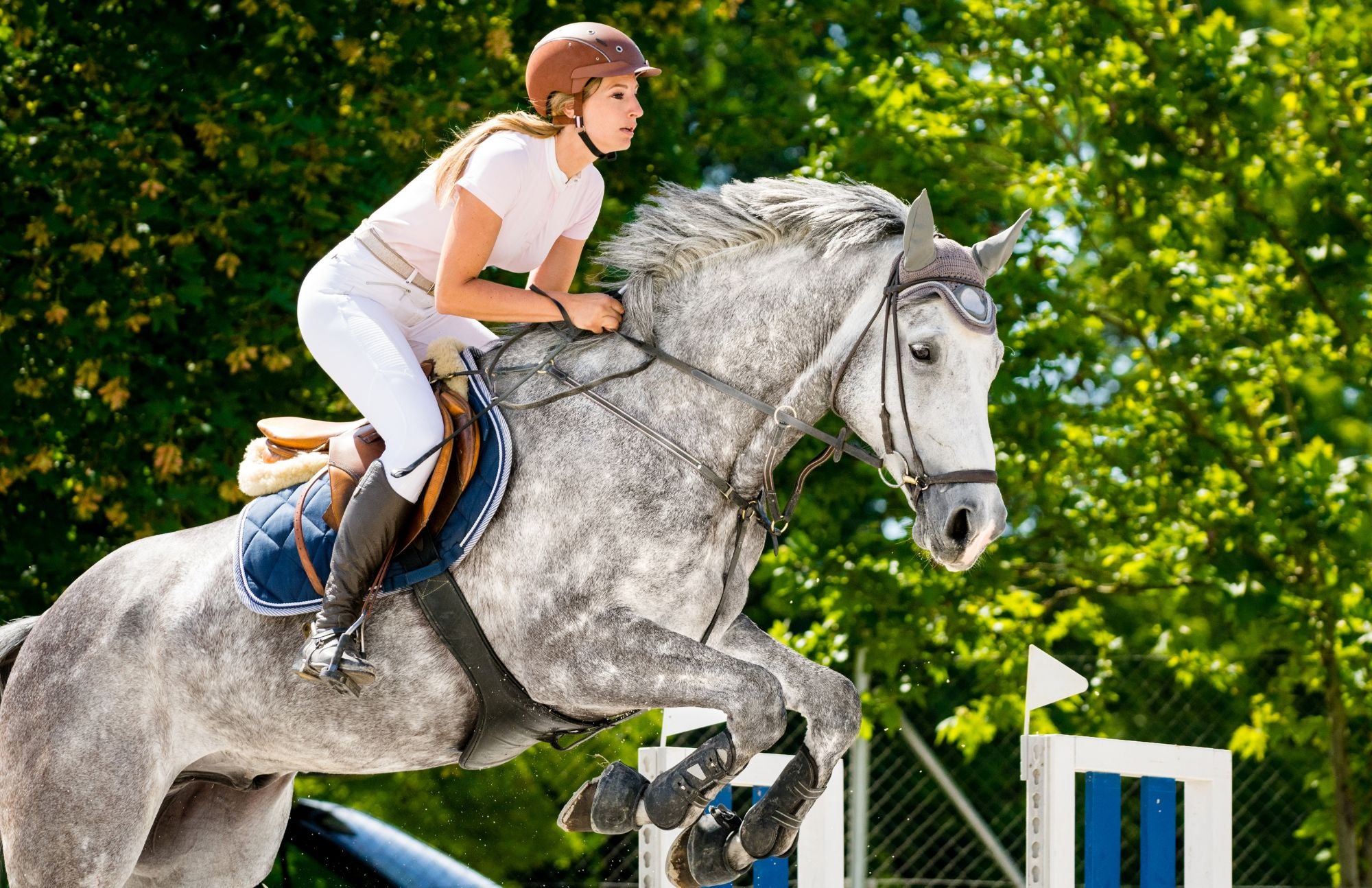 Navigating the Rings: Hunters, Jumpers, and Equitation