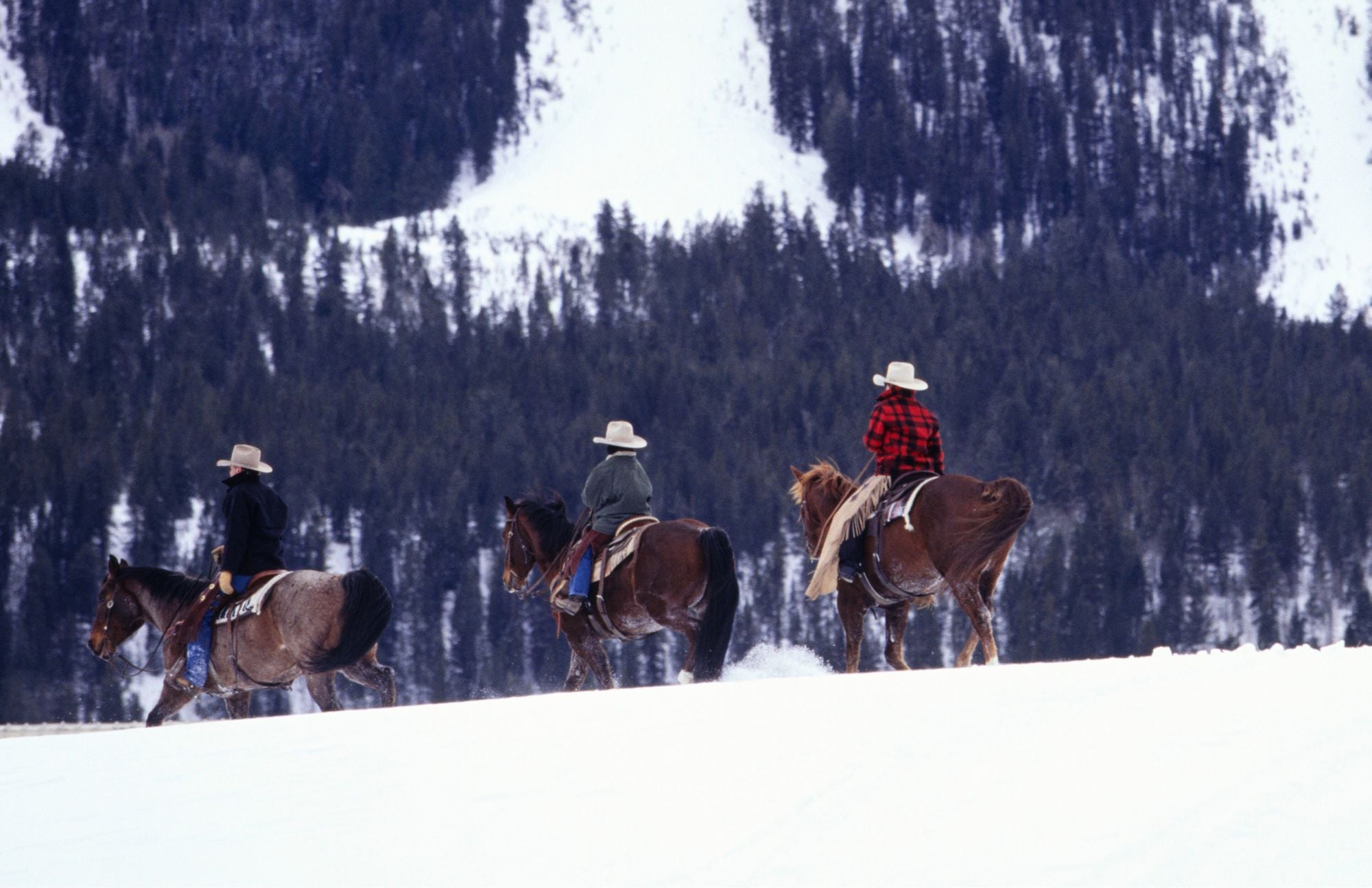 Winter Saddle and Leather Care Tips for Equestrians